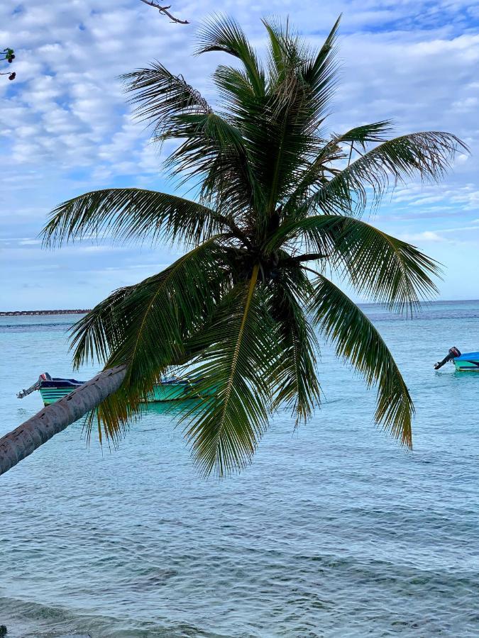 古莉 Ilaa Beach Maldives酒店 外观 照片