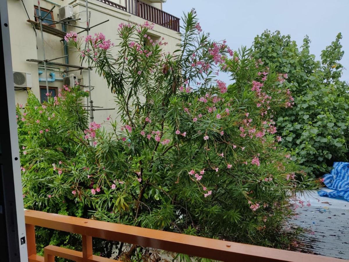 古莉 Ilaa Beach Maldives酒店 外观 照片